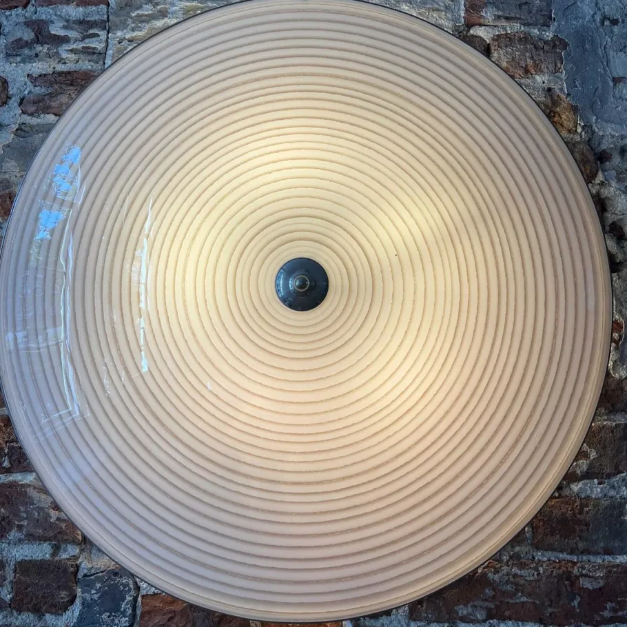 Best Pamono Vintage Wall or Ceiling Lamp