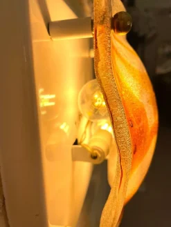 Hot Pamono Wall Light by Albano Poli for Mazzega, 1970