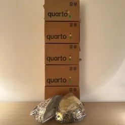 Clearance Pamono Wall Light by Tobia Scarpa for Flos, 1973, Set of 2