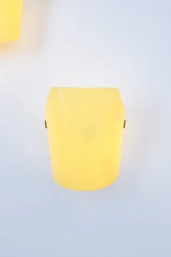 Pamono Wall Sconces by Gino Sarfatti for Arteluce, 1954, Set of 2