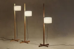 Hot Pamono White and Beech Wood TMM Floor Lamp by Miguel Milá